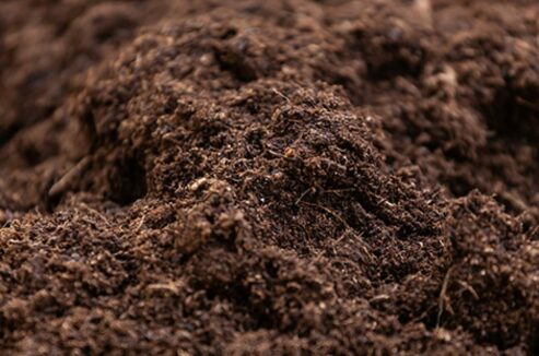 Mutterboden gesiebt 0/20 mit Kompost - Schüttgüter in Landau kaufen