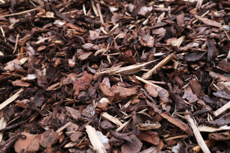 Rindenmulch auf unserem Wertstoffhof in Landau